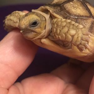 Meet your Posher, Ashlee